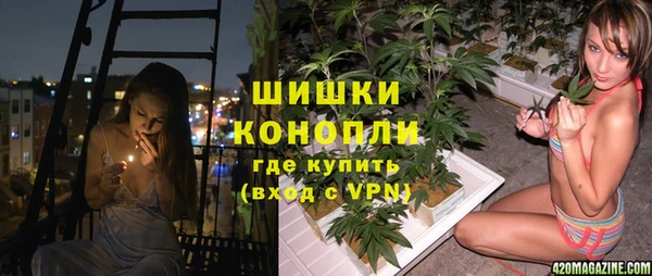 гидра Вязники