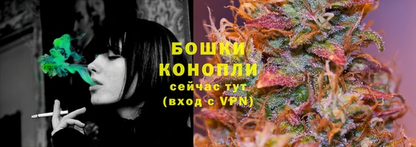 гидра Вязники