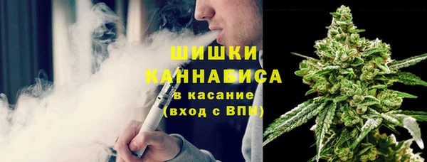 скорость Вяземский